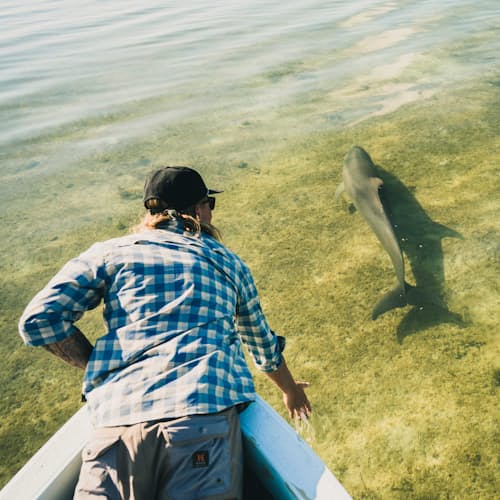 laydown image of Matagorda Shirt