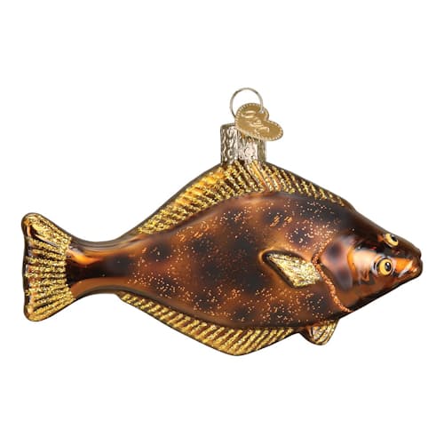laydown image of Pacific Halibut