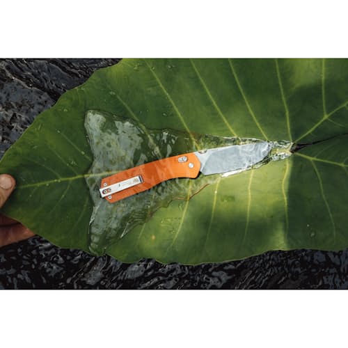 lifestyle image of The Carter Pocket Knife