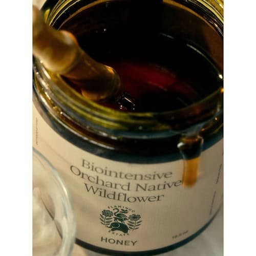 laydown image of Biointensive Native Wildflower Honey