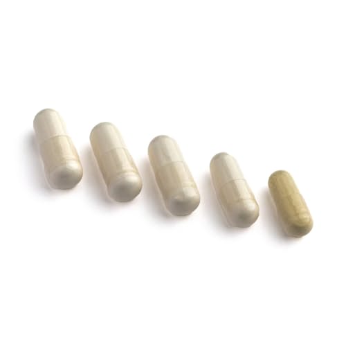 laydown image of Sleep Pack