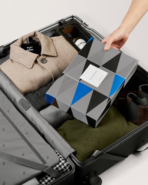 laydown detail image of The Check-In Large Luggage - 105L