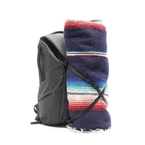 laydown image of Everyday Backpack 20L v2