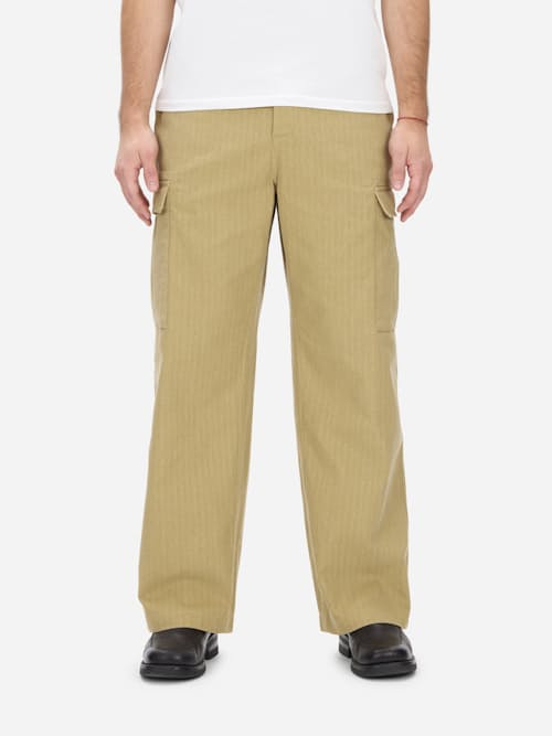 on model image of Cargo Pant