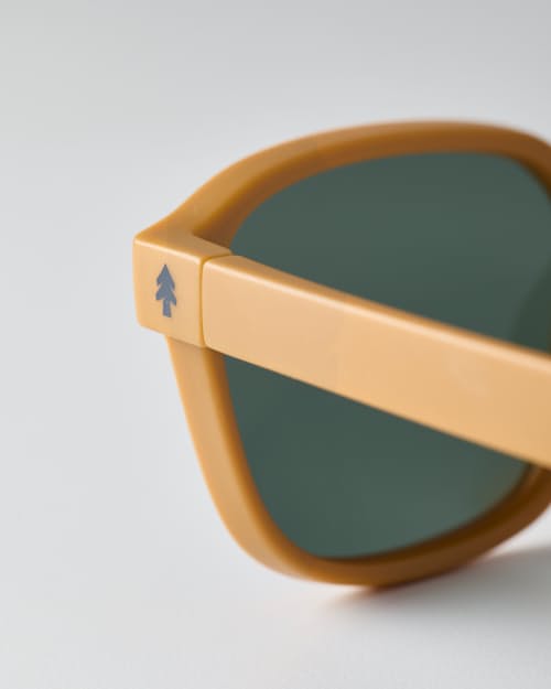 laydown detail image of Sunseekers Sunglasses