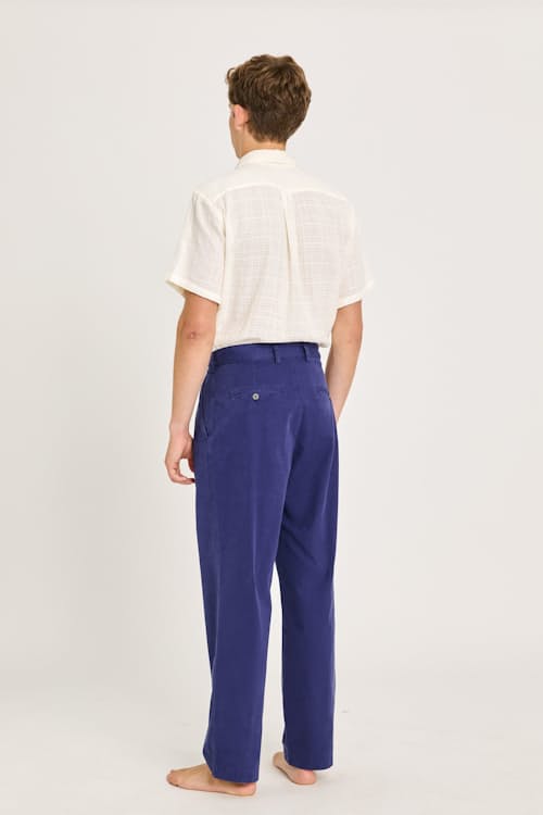 on model image of Carona Double Pleated Canvas Pants