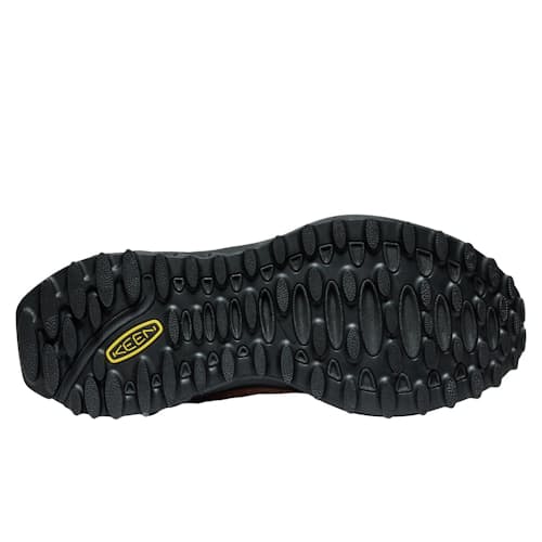laydown image of Pilgrim Surf Supply Jasper Zionic Sneaker