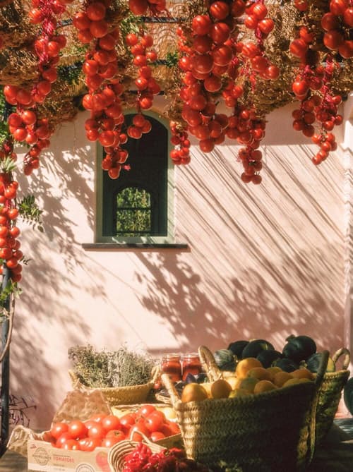 lifestyle image of Roma Heirloom Tomato Fragrance Oil