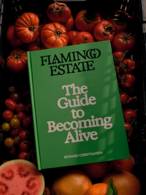 lifestyle image of The Guide to Becoming Alive