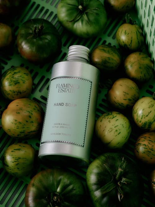 lifestyle image of Tomato Hand Soap