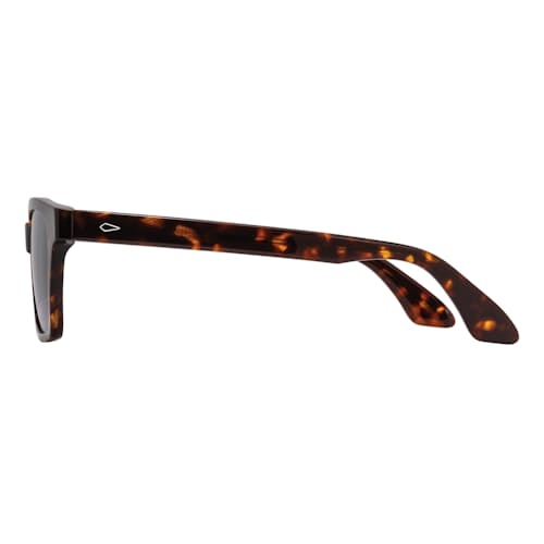 laydown image of Adams Sunglasses