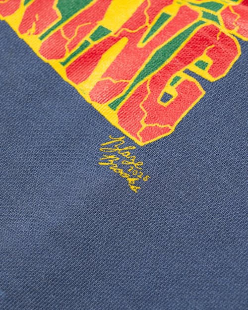 laydown detail image of Boulder Logo Chop Top