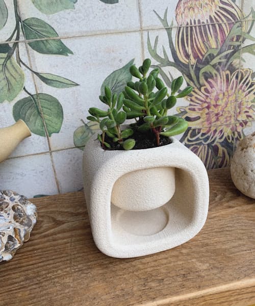 lifestyle image of Kyu Mini Plant Pot