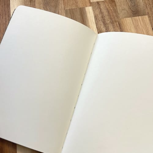 lifestyle image of Schemes Journal