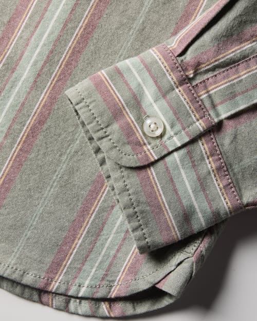 laydown detail image of Oxford Draftsman Shirt