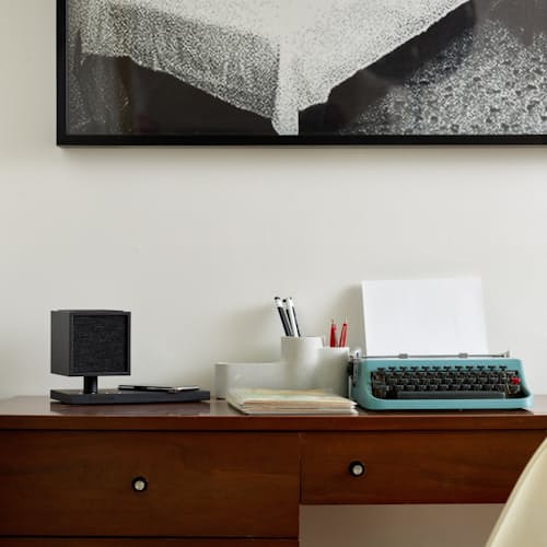 laydown image of Revive Speaker and Charger
