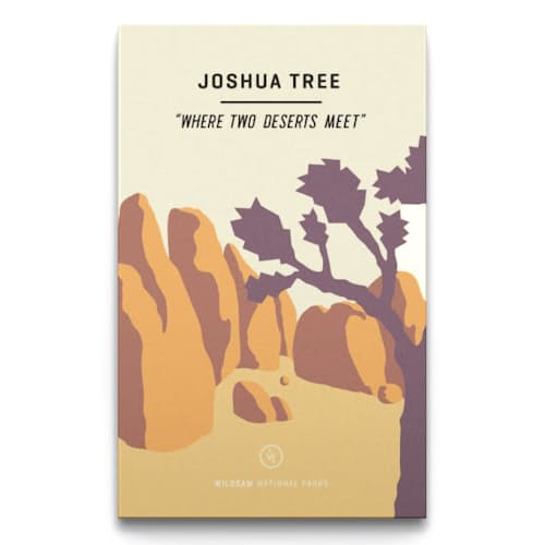 laydown image of Joshua Tree