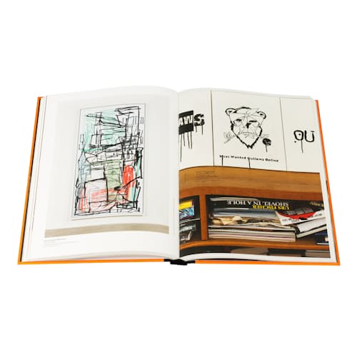 laydown image of A Poor Collector's Guide to Buying Great Art