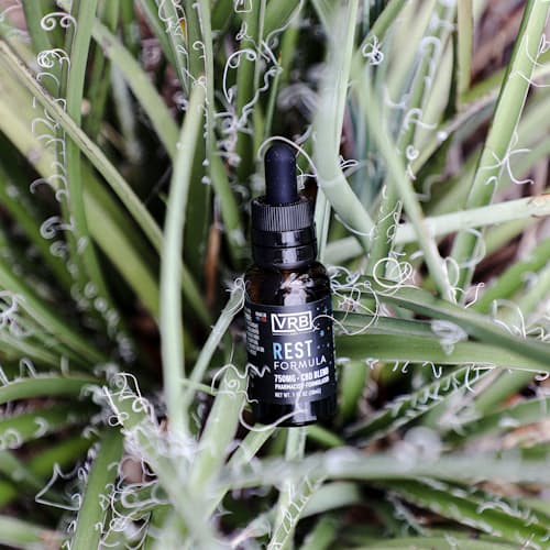 laydown image of Rest - CBD Sleep Blend