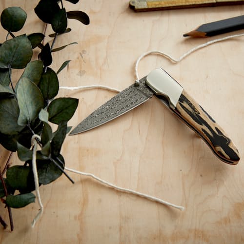 laydown image of Damascus 4" Folder w/ Cholla Cactus Skeleton Handle