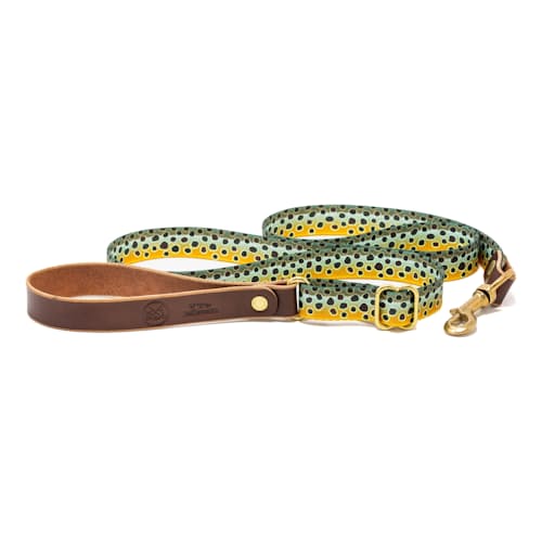 laydown image of Adjustable Length Fish Print Dog Leash
