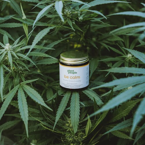 laydown image of Sleep CBD Kit