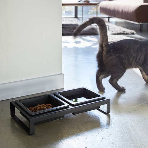 lifestyle image of Pet Bowls with Stand