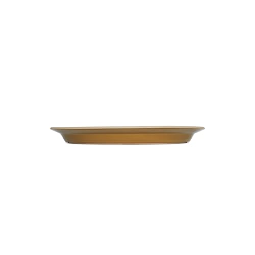 laydown image of Large Plate