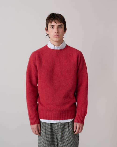 on model image of Birth of the Cool Crewneck Sweater
