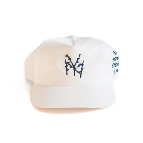 laydown image of NY Branches Unstructured 5-panel Hat