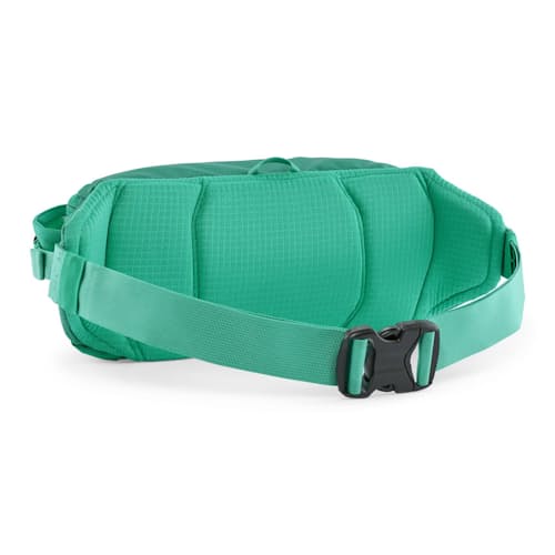 laydown image of Black Hole Waist Pack 5L