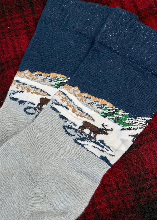 laydown detail image of Landscape Crew Socks