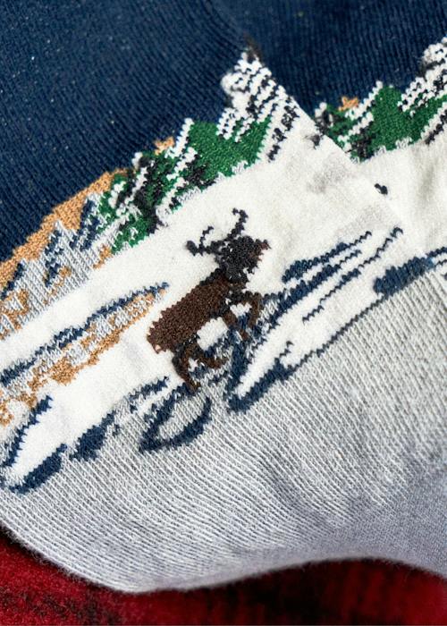 laydown detail image of Landscape Crew Socks