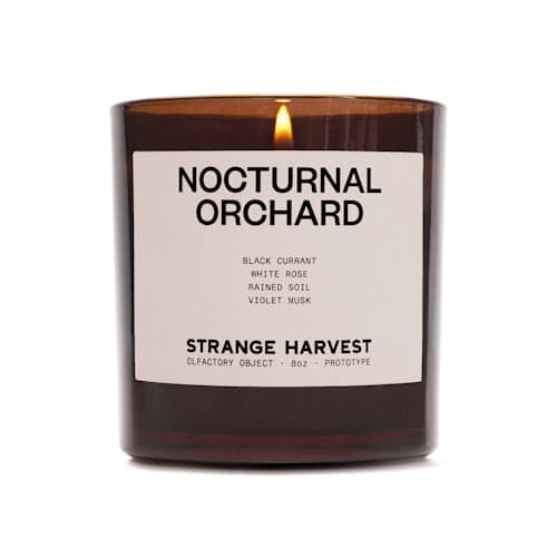 laydown image of Nocturnal Orchard Perfumed Candle