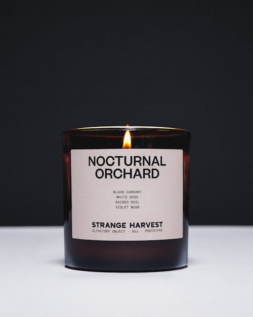 no crop image of Nocturnal Orchard Perfumed Candle