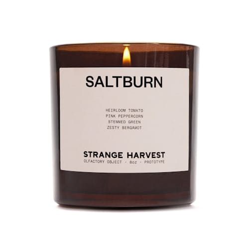 laydown image of Saltburn Perfumed Candle
