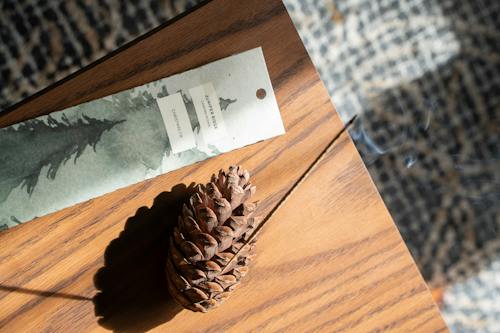 lifestyle image of Campfire Incense