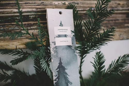 lifestyle image of Campfire Incense