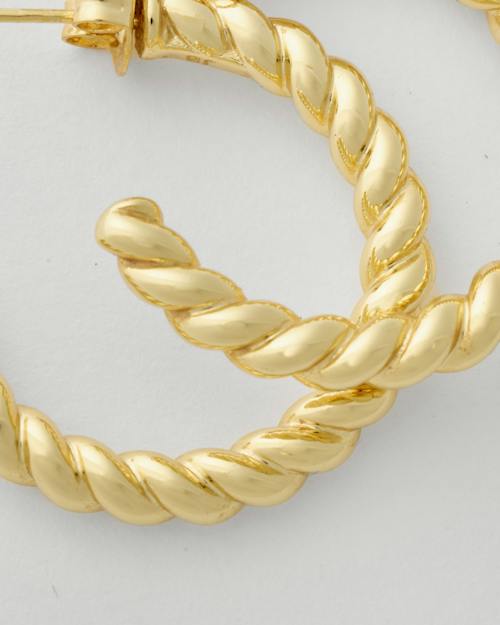 laydown detail image of Gold Rope Hoops