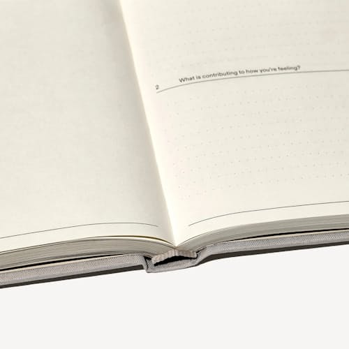 laydown detail image of The Therapy Journal