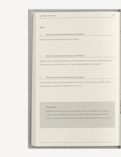 laydown detail image of The Therapy Journal