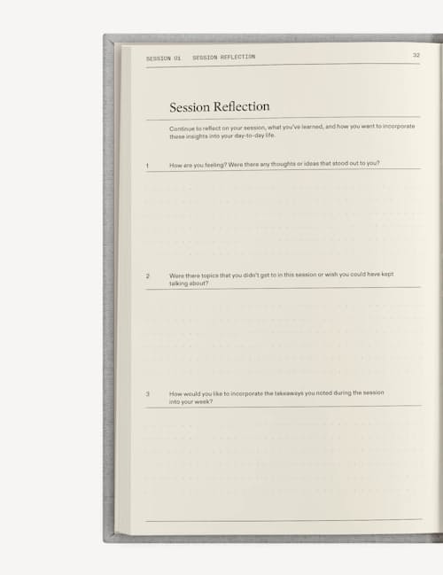 laydown detail image of The Therapy Journal