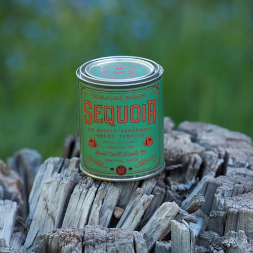 laydown image of Sequoia National Park Candle