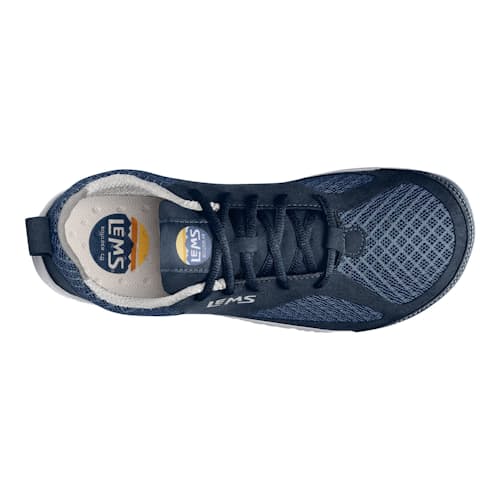 laydown image of Primal 2 Sneaker