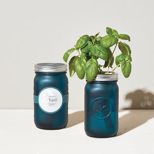 laydown image of Organic Herb Garden Jar Set