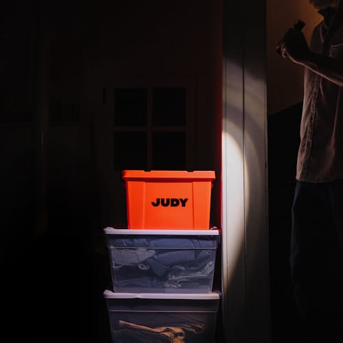 laydown image of The Judy Ready System