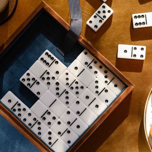laydown image of Dominoes Set