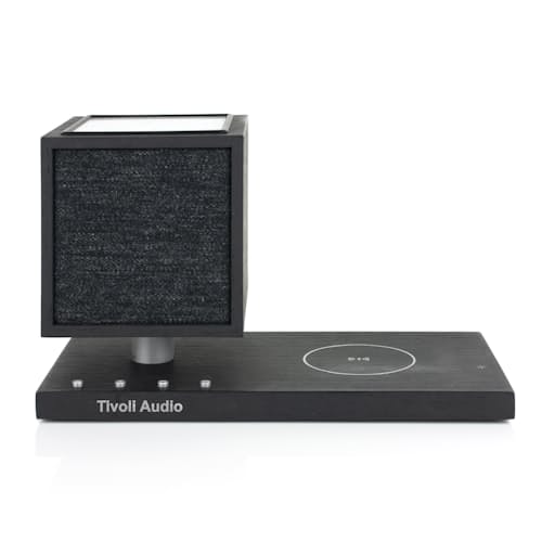 laydown image of Revive Speaker and Charger