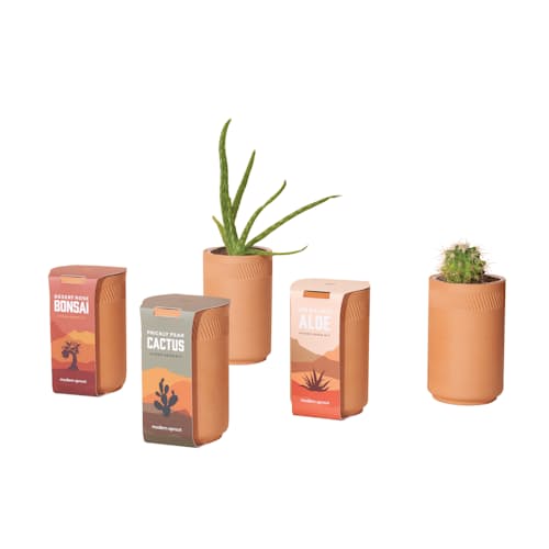 laydown image of Healing Aloe Grow Kit