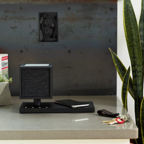laydown image of Revive Speaker and Charger